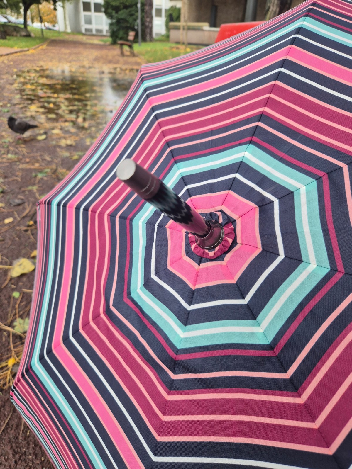 Grand parapluie solide Isotoner disponible chez Evasion Dieppe