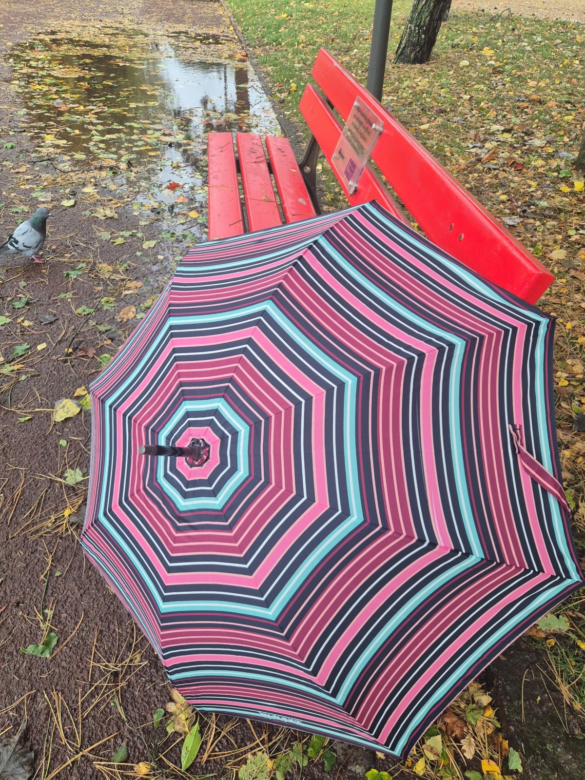 Grand parapluie solide Isotoner disponible chez Evasion Dieppe