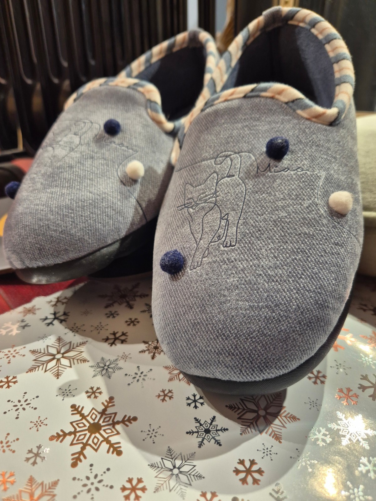 Chaussons Isotoner motif chat disponible chez Evasion Dieppe