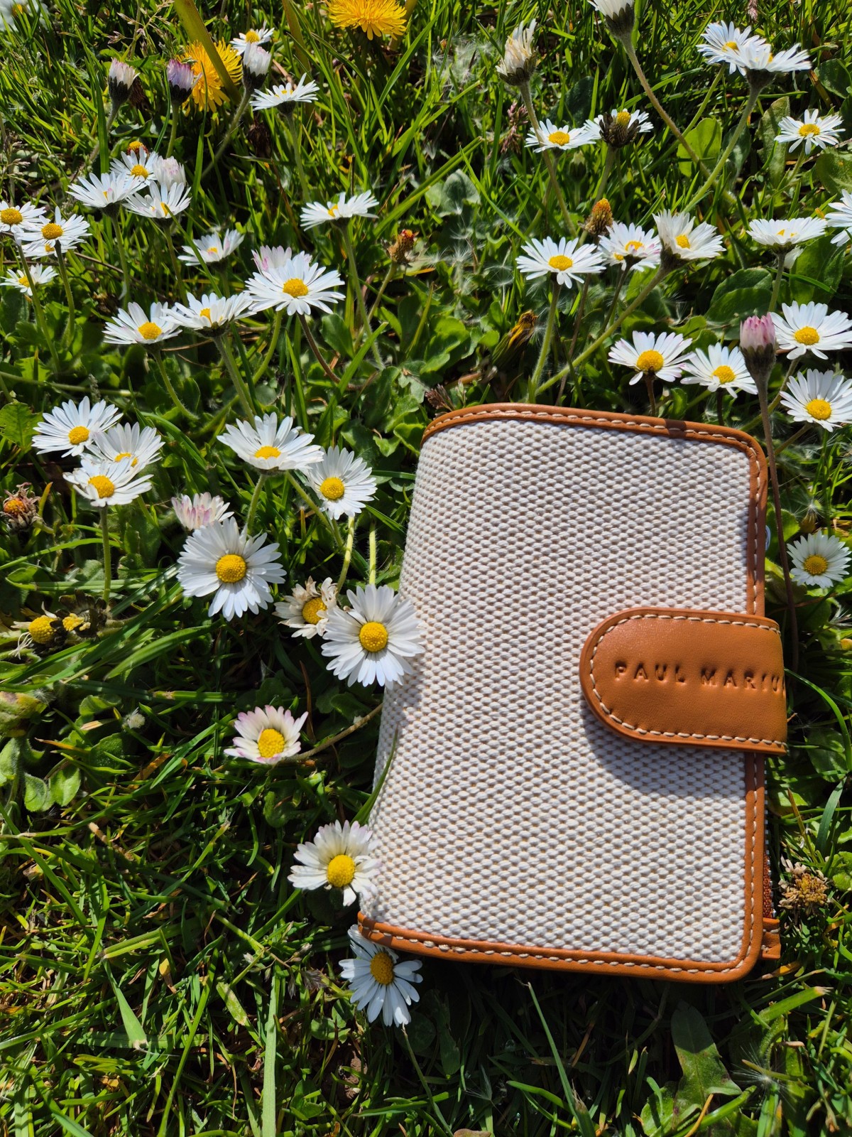 Portefeuille Paul Marius Valentine Escapade beige cognac disponible chez Evasion Dieppe