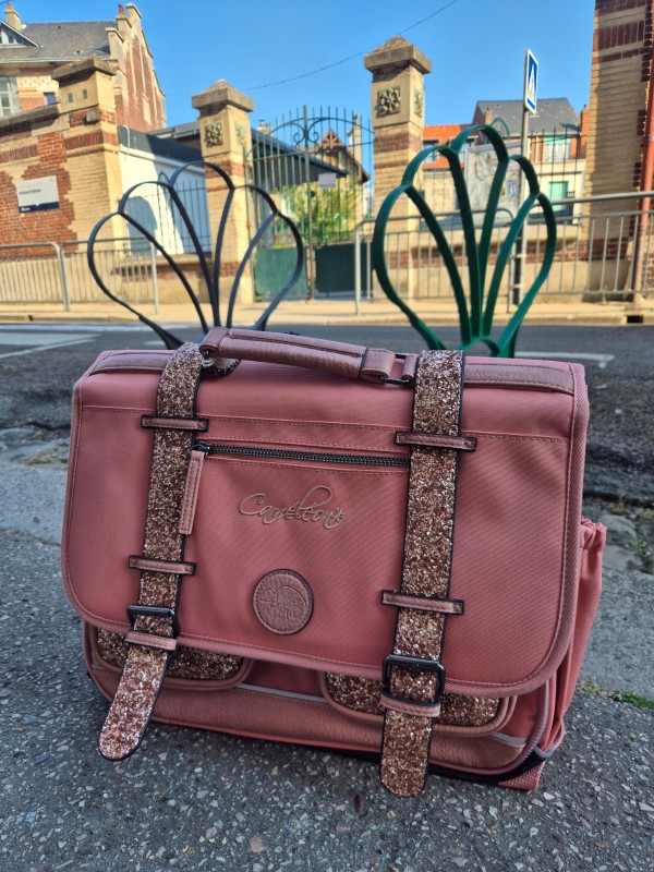 Cartable Caméléon Vintage Fantasy glossy pink disponible chez Evasion Dieppe