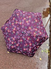 Parapluie pliant Isotoner résistant au vent indisponible chez Evasion Dieppe