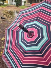 Grand parapluie solide Isotoner disponible chez Evasion Dieppe